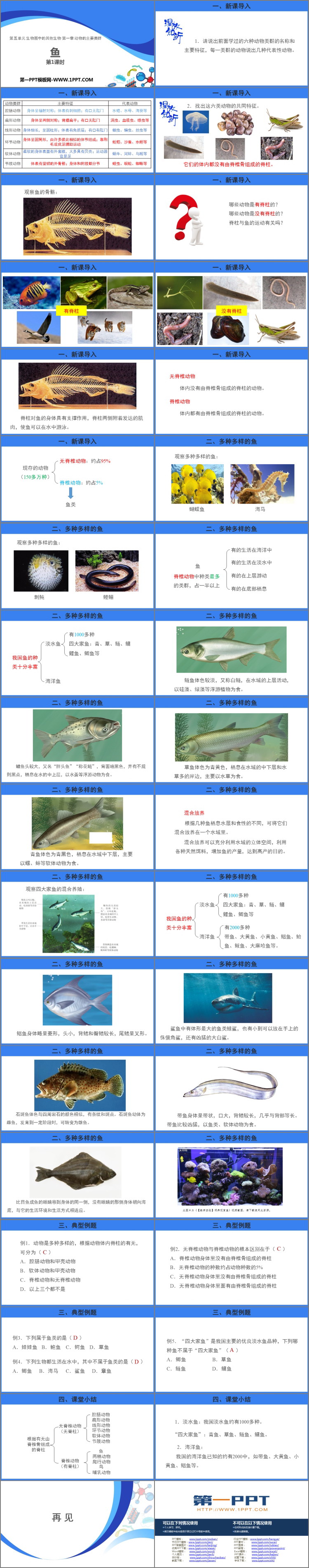 《鱼》PPT课件(第1课时)