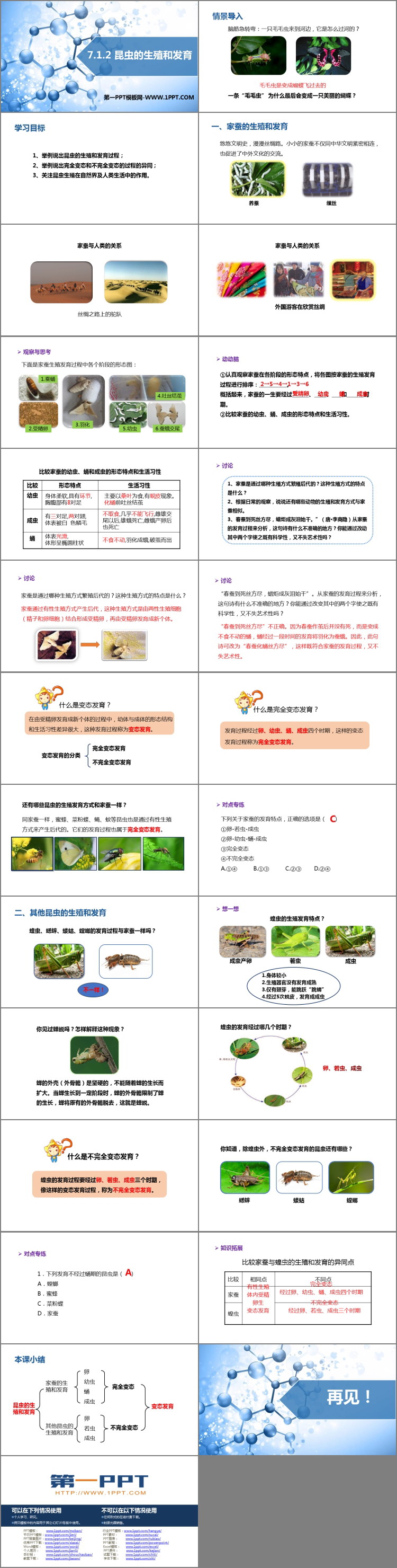 《昆虫的生殖和发育》PPT优质课件