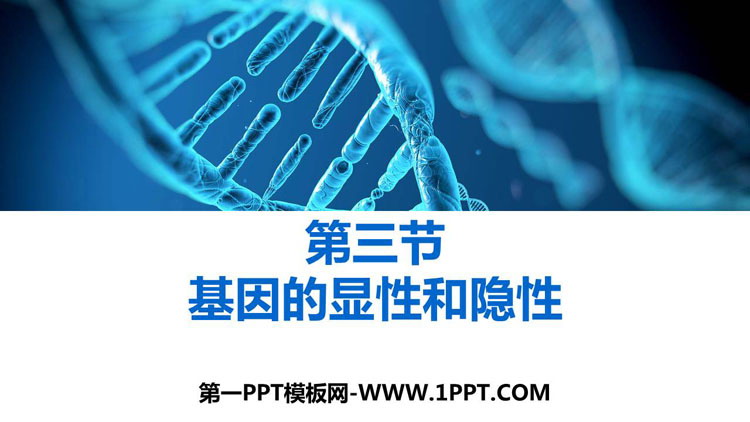 《基因的显性和隐性》PPT优质课件