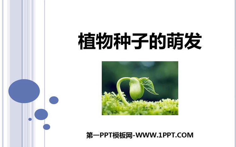《植物种子的萌发》PPT下载