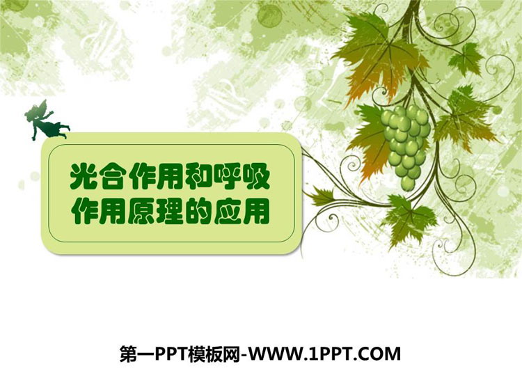 《光合作用和呼吸作用原理的应用》PPT下载