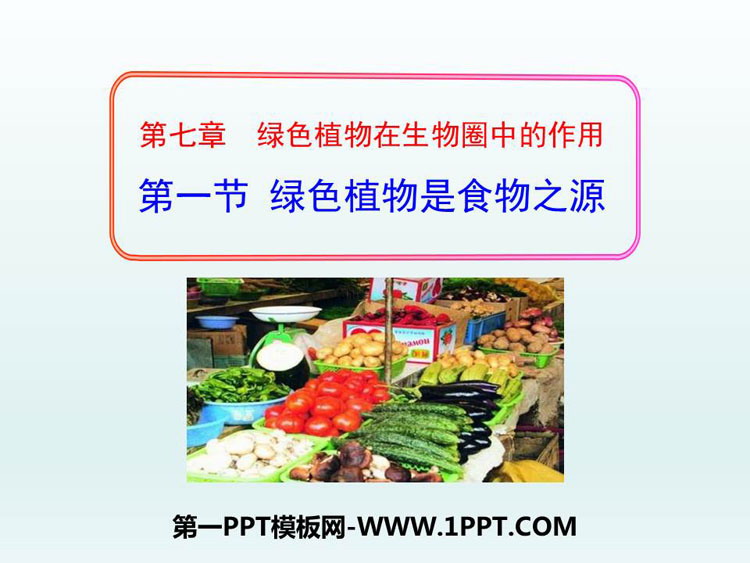 《绿色植物是食物之源》PPT教学课件