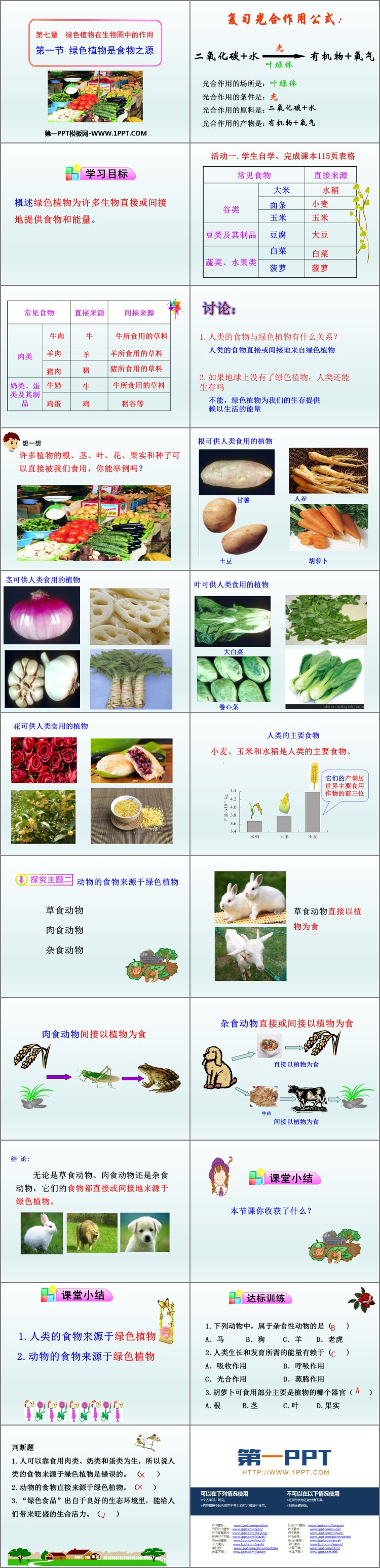《绿色植物是食物之源》PPT教学课件