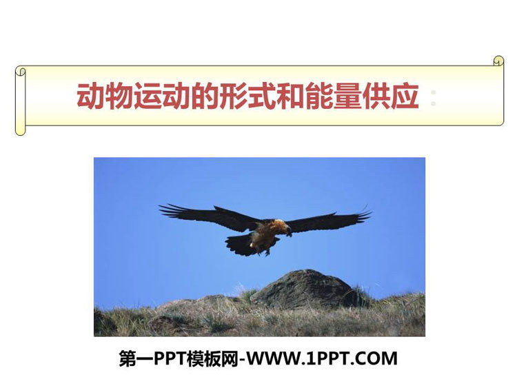 《动物运动的形式和能量供应》PPT下载