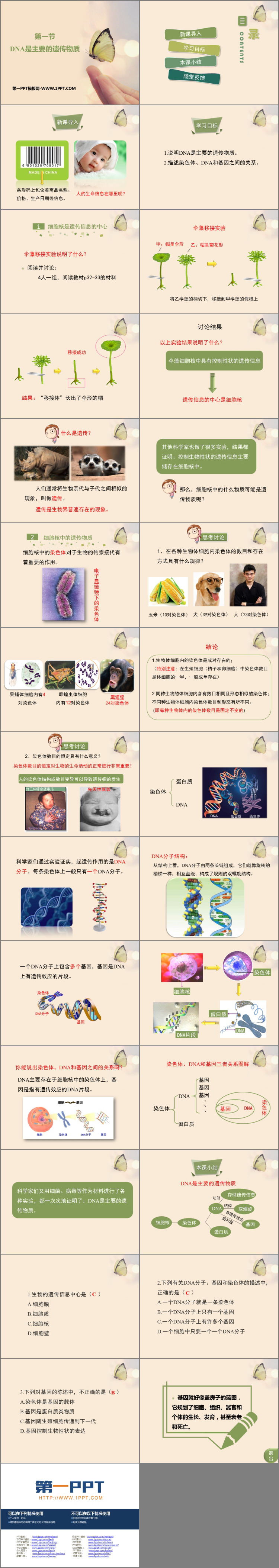 《DNA是主要的遗传物质》PPT教学课件