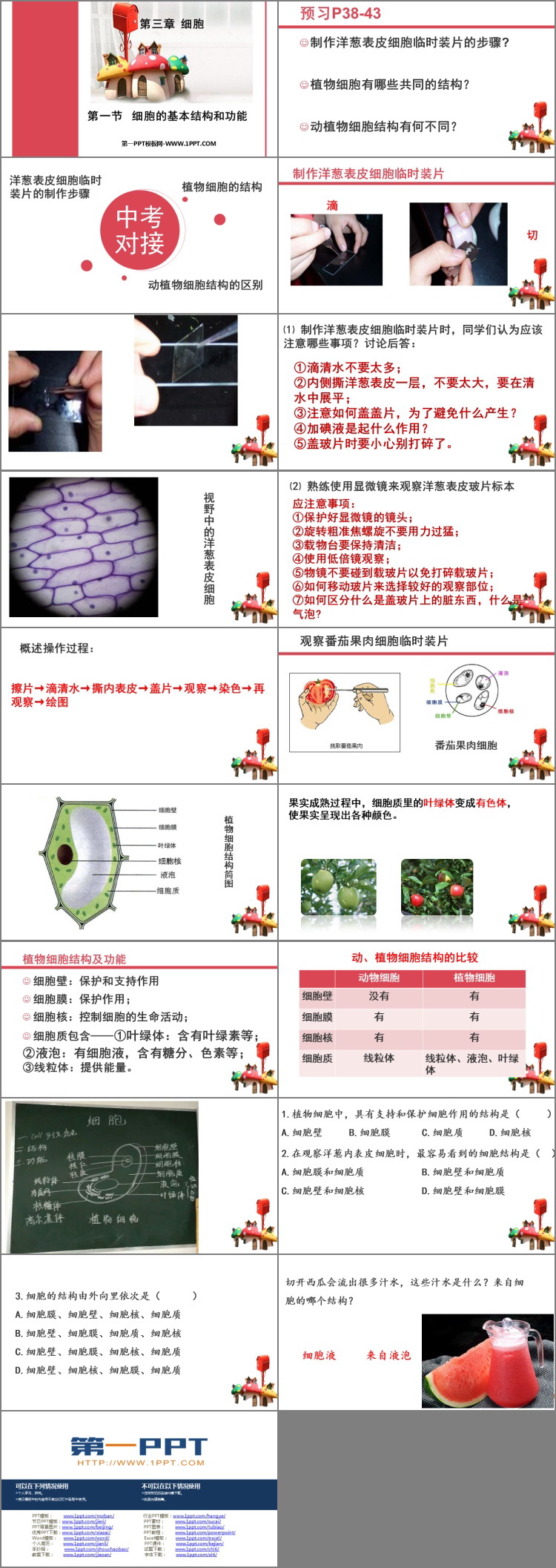 《细胞的基本结构和功能》PPT教学课件