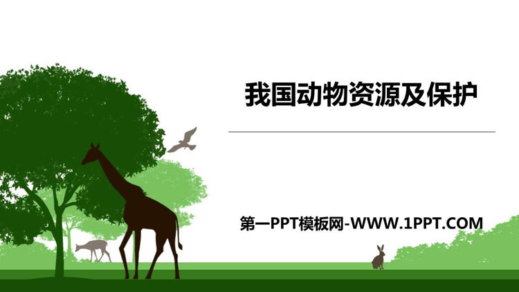 《我国的动物资源及保护》PPT课件下载