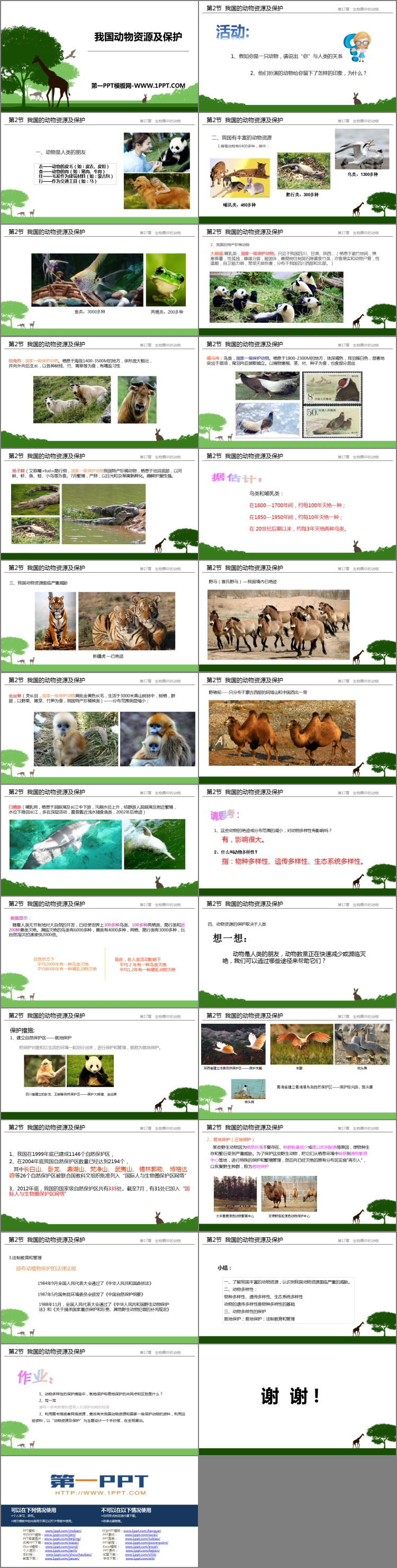 《我国的动物资源及保护》PPT课件下载