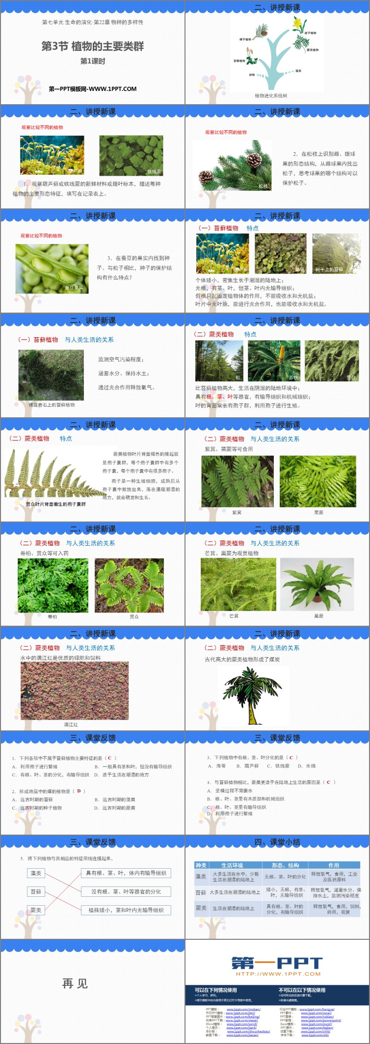 《植物的主要类群》PPT教学课件