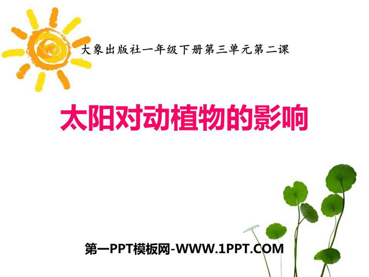 《太阳对动植物的影响》PPT课件