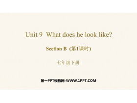 《What does he look like?》SectionB PPT教学课件(第1课时)