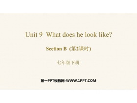 《What does he look like?》SectionB PPT教学课件(第2课时)