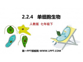 《单细胞生物》PPT免费课件下载