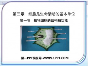《植物细胞结构和功能》PPT免费下载