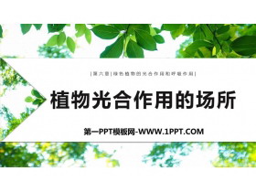 《植物光合作用的场所》PPT免费课件