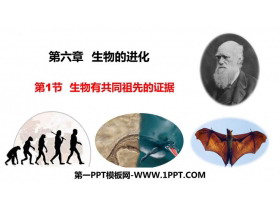 《生物有共同祖先的证据》生物的进化PPT课件下载