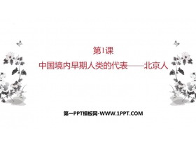 《中国早期人类的代表—北京人》PPT免费课件