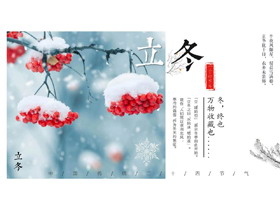 挂满雪花的红果子背景立冬节气介绍PPT模板