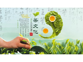 绿色茶树搭配茶叶太极背景茶文化主题PPT模板