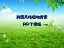 清新的韩国风格自然风景PPT模板下载