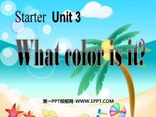What color is it?StarterUnit3PPTn5