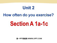 How often do you exercise?PPTn