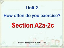 How often do you exercise?PPTn2
