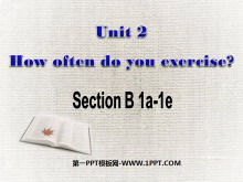 How often do you exercise?PPTn5