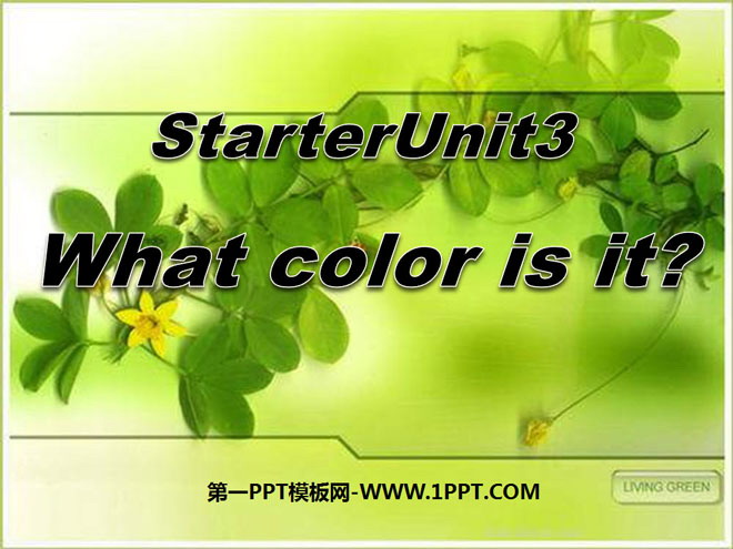 What color is it?StarterUnit3PPTμ6