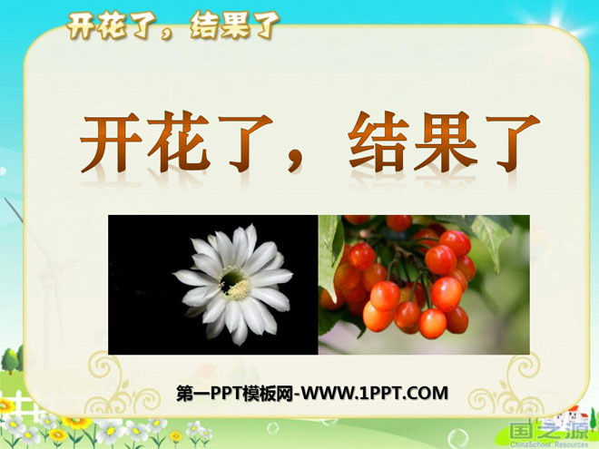 《开花了，结果了》植物的生长变化PPT课件-预览图01