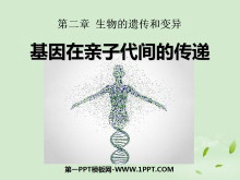 《基因在亲子代间的传递》生物的遗传和变异PPT课件4