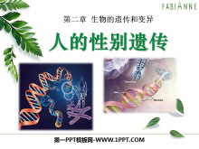 《人的性别遗传》生物的遗传和变异PPT课件4