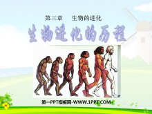 《生物进化的历程》生物的进化PPT课件5