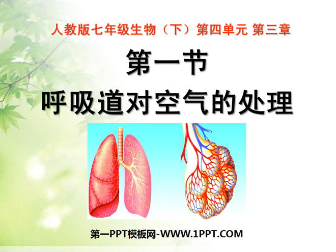 《呼吸道对空气的处理》人体的呼吸PPT课件-预览图01