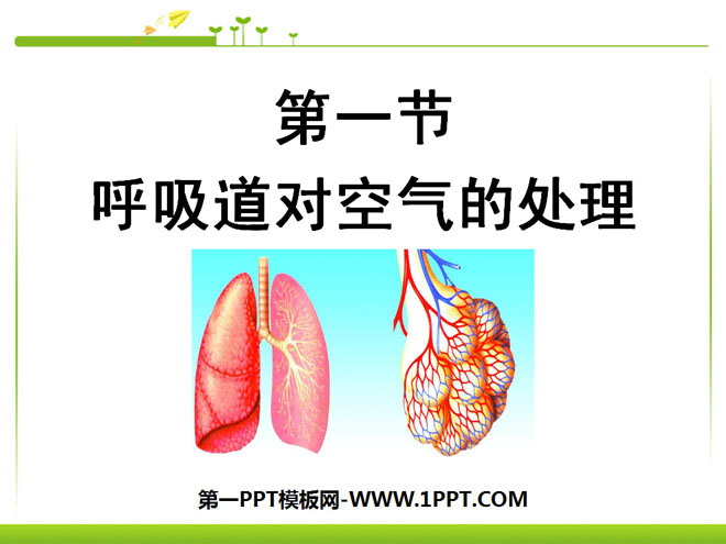 《呼吸道对空气的处理》人体的呼吸PPT课件5-预览图01