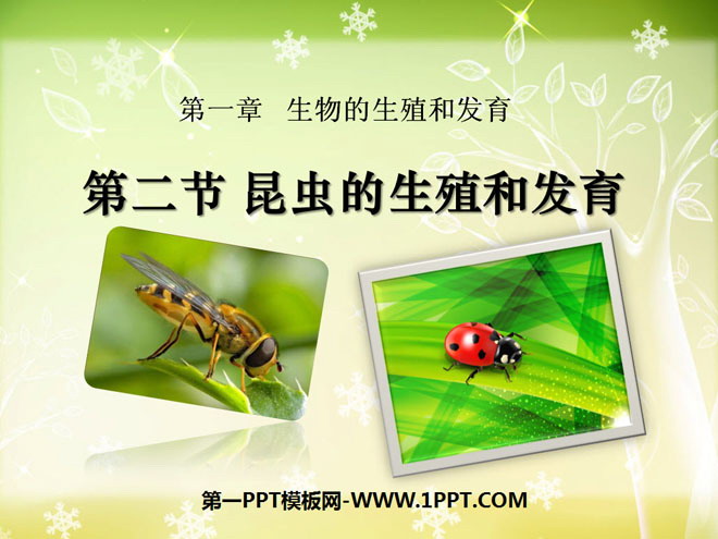 《昆虫的生殖和发育》生物的生殖和发育PPT课件5-预览图01