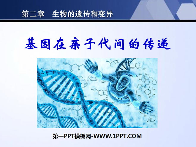 《基因在亲子代间的传递》生物的遗传和变异PPT课件5-预览图01