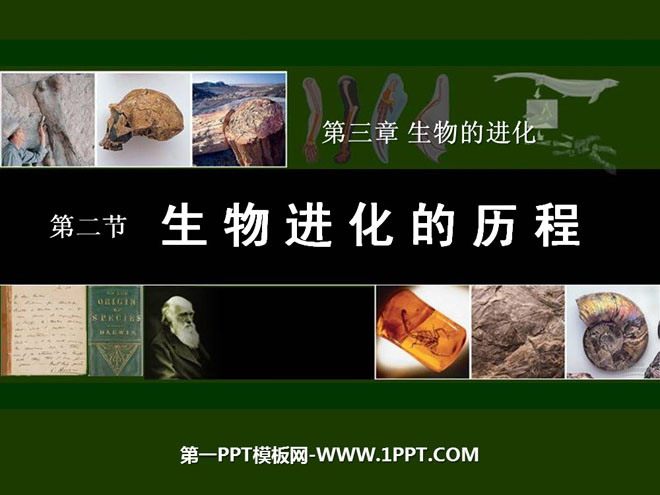 《生物进化的历程》生物的进化PPT课件-预览图01