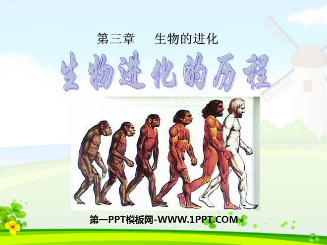 《生物进化的历程》生物的进化PPT课件5-预览图01