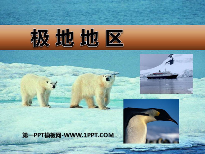 《极地地区》PPT课件-预览图01