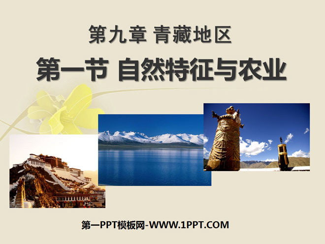 《自然特征与农业》青藏地区PPT课件2-预览图01