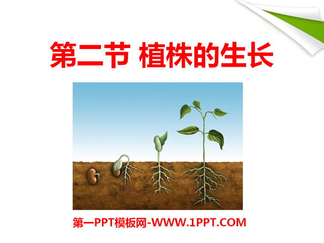 《植株的生长》被子植物的一生PPT课件3-预览图01