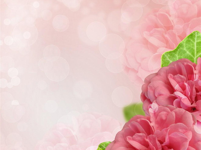 粉色花卉PPT背景图片（粉色花朵ppt背景图）