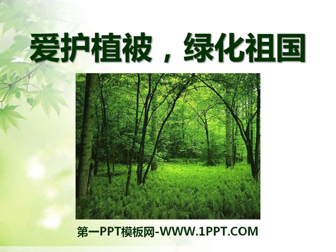 《爱护植被，绿化祖国》PPT课件5-预览图01