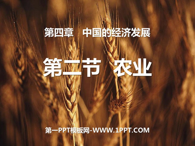《农业》中国的经济发展PPT课件-预览图01