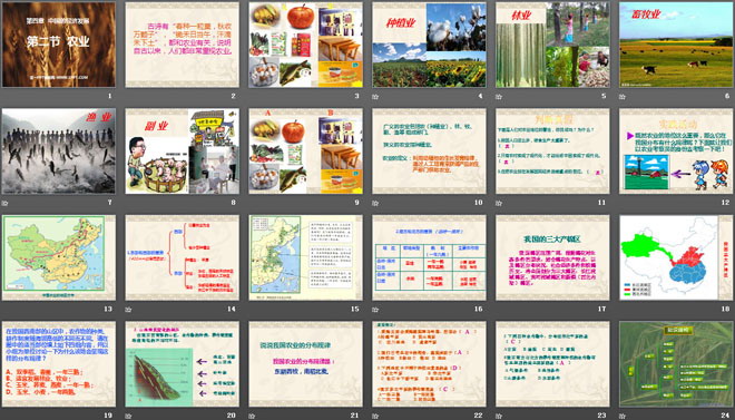 《农业》中国的经济发展PPT课件-预览图02