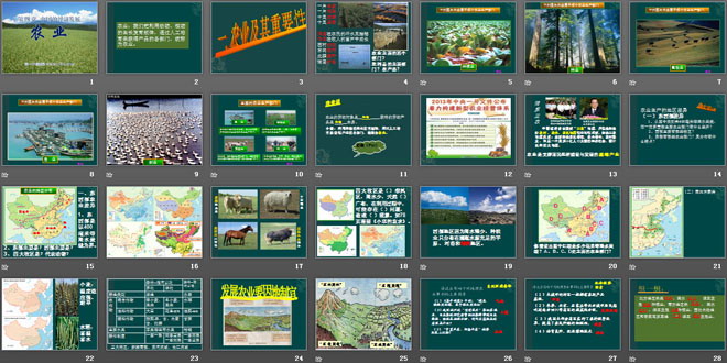 《农业》中国的经济发展PPT课件4-预览图02