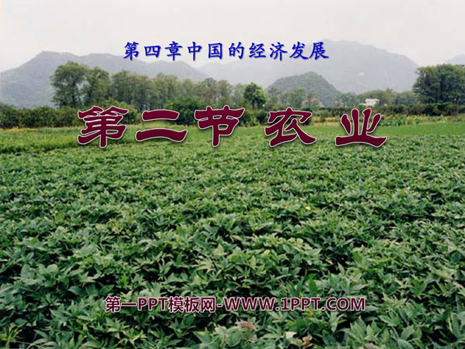 《农业》中国的经济发展PPT课件6-预览图01