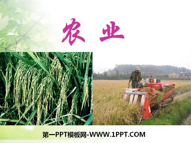 《农业》中国的经济发展PPT课件8-预览图01