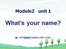Whats your name?PPTn